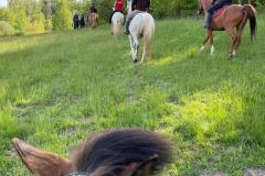 Wats-Ap-Foto-Hifa-23-107