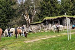 Wats-Ap-Foto-Hifa-23-125