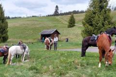 Wats-Ap-Foto-Hifa-23-90