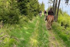 Wats-Ap-Foto-Hifa-23-97-Kopie