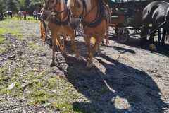 PHOTO-2023-09-17-16-27-27