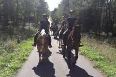 PHOTO-2023-09-17-16-28-25