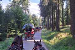 PHOTO-2023-09-17-16-28-30