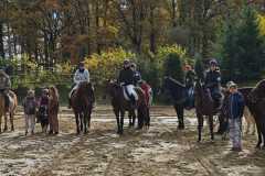 PHOTO-2023-11-04-17-37-21