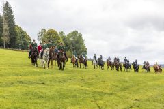 717_IMG_9003_Fuchsjagd_Rittersgruen_2025-scaled