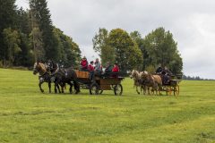 717_IMG_9017_Fuchsjagd_Rittersgruen_2025-scaled