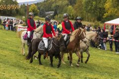 717_IMG_9023_Fuchsjagd_Rittersgruen_2025-scaled