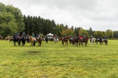 717_IMG_9024_Fuchsjagd_Rittersgruen_2025-scaled