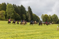 717_IMG_9168_Fuchsjagd_Rittersgruen_2025-scaled