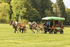 717_IMG_9182_Fuchsjagd_Rittersgruen_2025-scaled