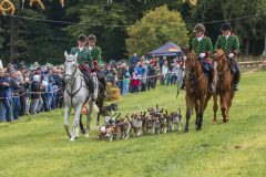 717_IMG_9291_Fuchsjagd_Rittersgruen_2025-scaled