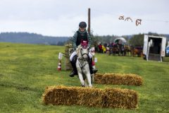 717_IMG_9405_Fuchsjagd_Rittersgruen_2025-scaled