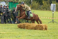 717_IMG_9442_Fuchsjagd_Rittersgruen_2025-scaled