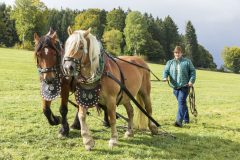 717_IMG_9462_Fuchsjagd_Rittersgruen_2025-scaled