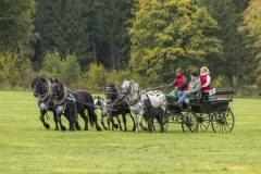 717_IMG_9570_Fuchsjagd_Rittersgruen_2025-scaled