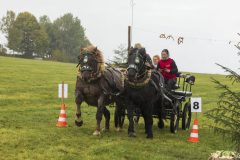 717_IMG_9583_Fuchsjagd_Rittersgruen_2025-scaled