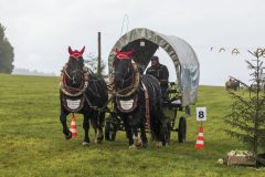 717_IMG_9616_Fuchsjagd_Rittersgruen_2025-scaled