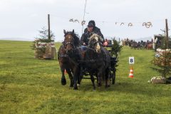 717_IMG_9637_Fuchsjagd_Rittersgruen_2025-scaled