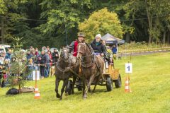 717_IMG_9691_Fuchsjagd_Rittersgruen_2025-scaled