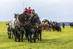 717_IMG_9698_Fuchsjagd_Rittersgruen_2025-scaled