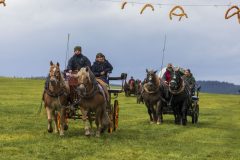 717_IMG_9703_Fuchsjagd_Rittersgruen_2025-scaled