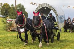 717_IMG_9712_Fuchsjagd_Rittersgruen_2025-scaled