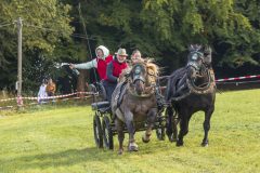 717_IMG_9803_Fuchsjagd_Rittersgruen_2025-scaled