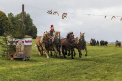 717_IMG_9891_Fuchsjagd_Rittersgruen_2025-scaled