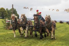 717_IMG_9905_Fuchsjagd_Rittersgruen_2025-scaled