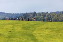 8717_IMG_0057_Fuchsjagd_Rittersgruen_2025-scaled