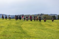 8717_IMG_0066_Fuchsjagd_Rittersgruen_2025-scaled