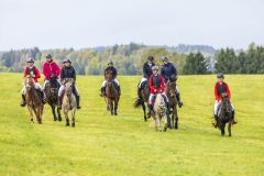 8717_IMG_0076_Fuchsjagd_Rittersgruen_2025-scaled