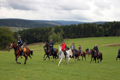Abschlussgalopp